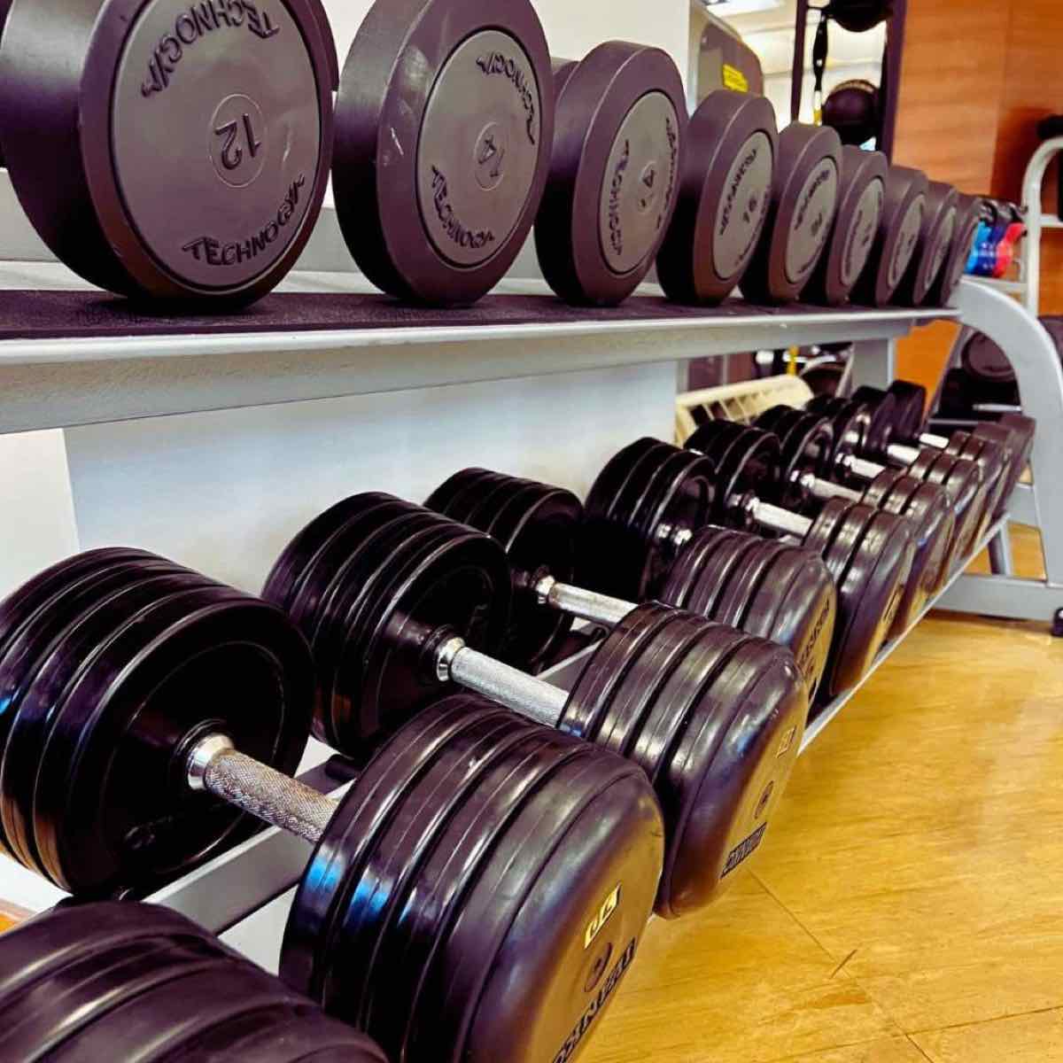 Ungenutzte Hanteln und Gewichte auf einem Rack im Fitnessstudio – das typische Schicksal für gute Vorsätze 2026.